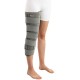 Inmovilizador Rodilla Blunding