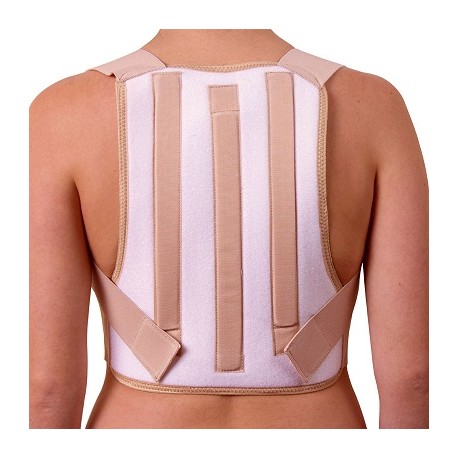 Espaldera con Soporte Dorsal