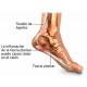 Talonera Fascitis Plantar Hombre (Par)